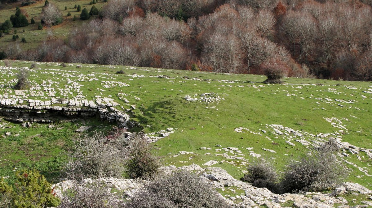 Riberos txabola tumularra, Andia