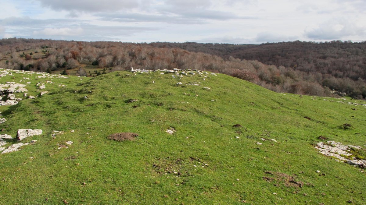Riberos txabola tumularra, Andia