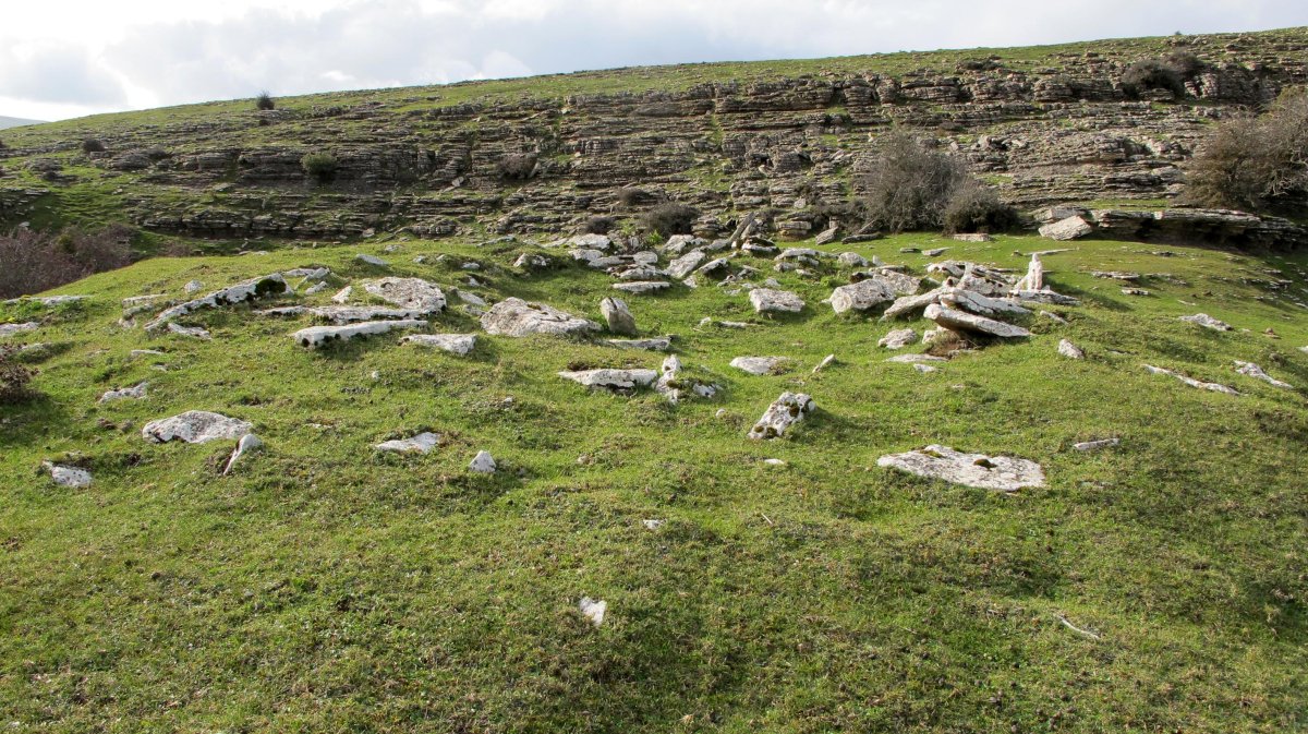 Riberos txabola tumularra, Andia