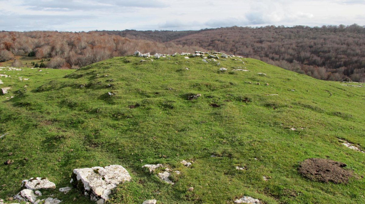 Riberos txabola tumularra, Andia