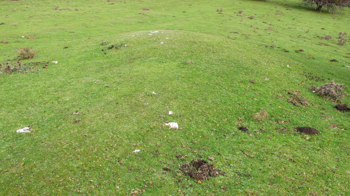 Ingiriko Portillua etxola hondoa, Andia