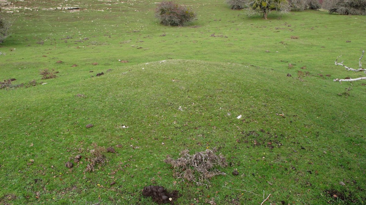 Ingiriko Portillua etxola hondoa, Andia