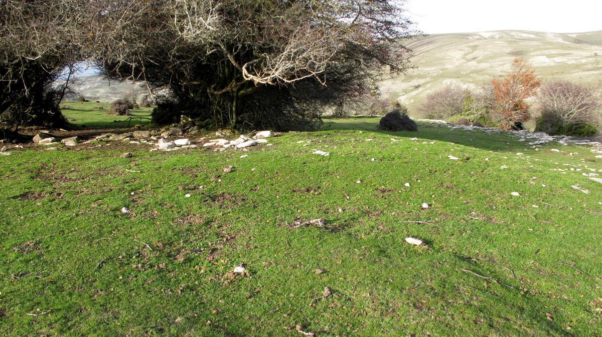 Izpia 1 etxola hondoa, Andia