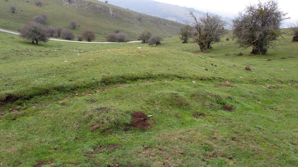 Sosaportillo 2 hego etxola hondoa, Andia