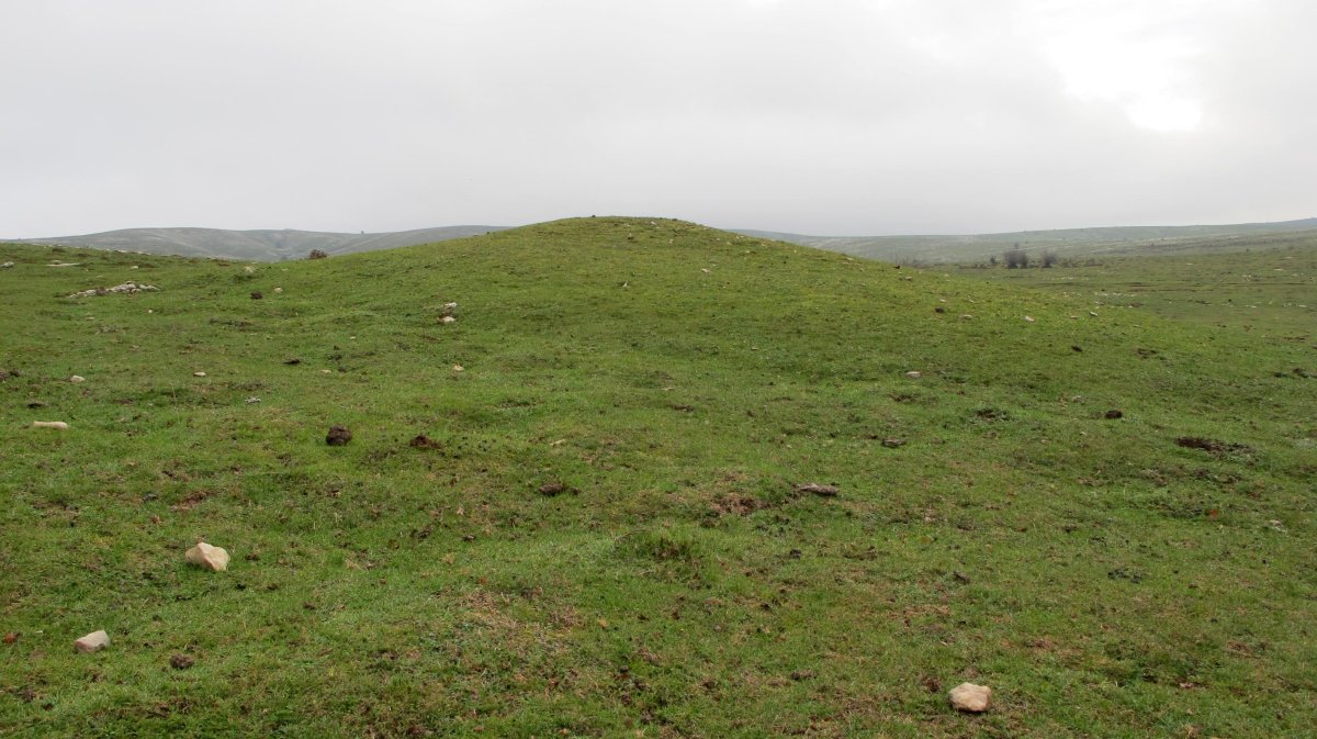 Sosaportillo 2 hego etxola hondoa, Andia