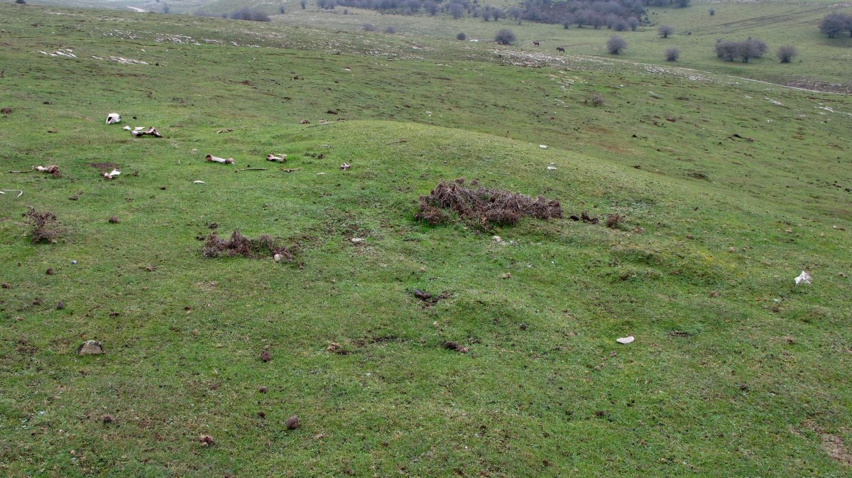 Sosaportillo 1 ipar etxola hondoa, Andia