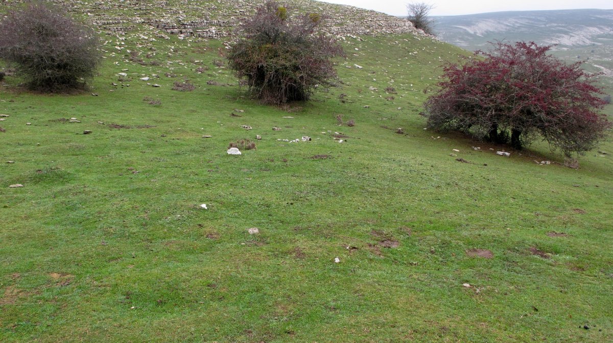 Usalderen etxola hondoa, Andia