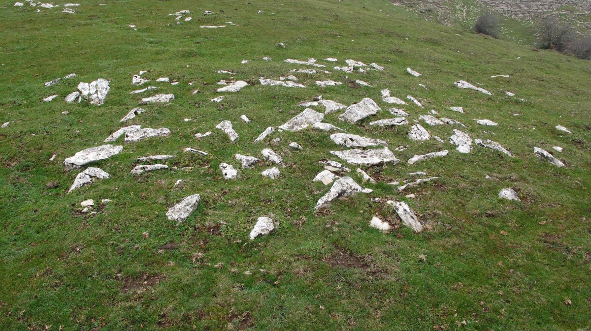 Mirandasare 1 tumulua, Andia