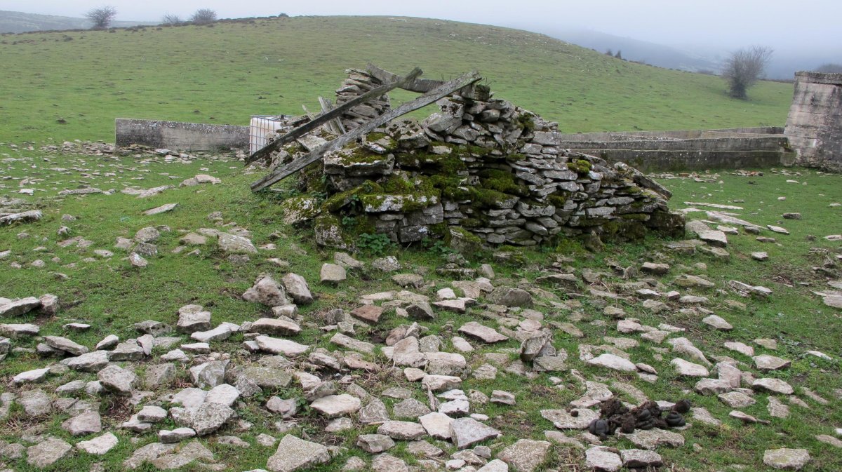 Pokapena txabola tumularra, Andia