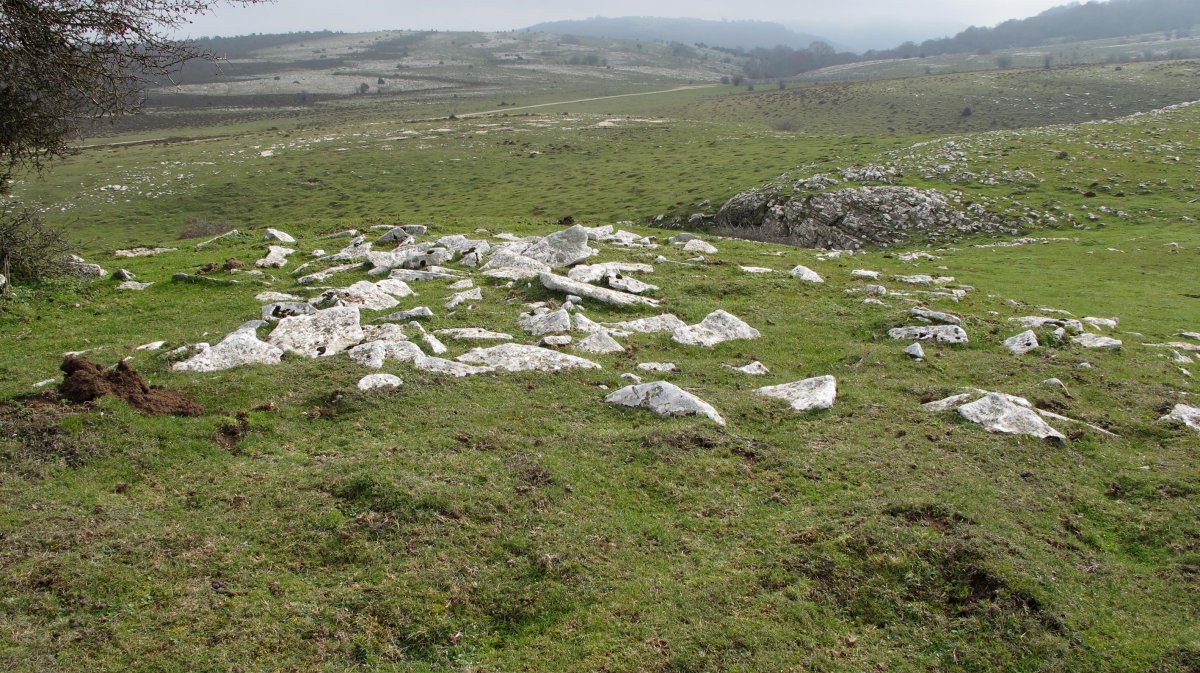 El Espino tumulua, Andia