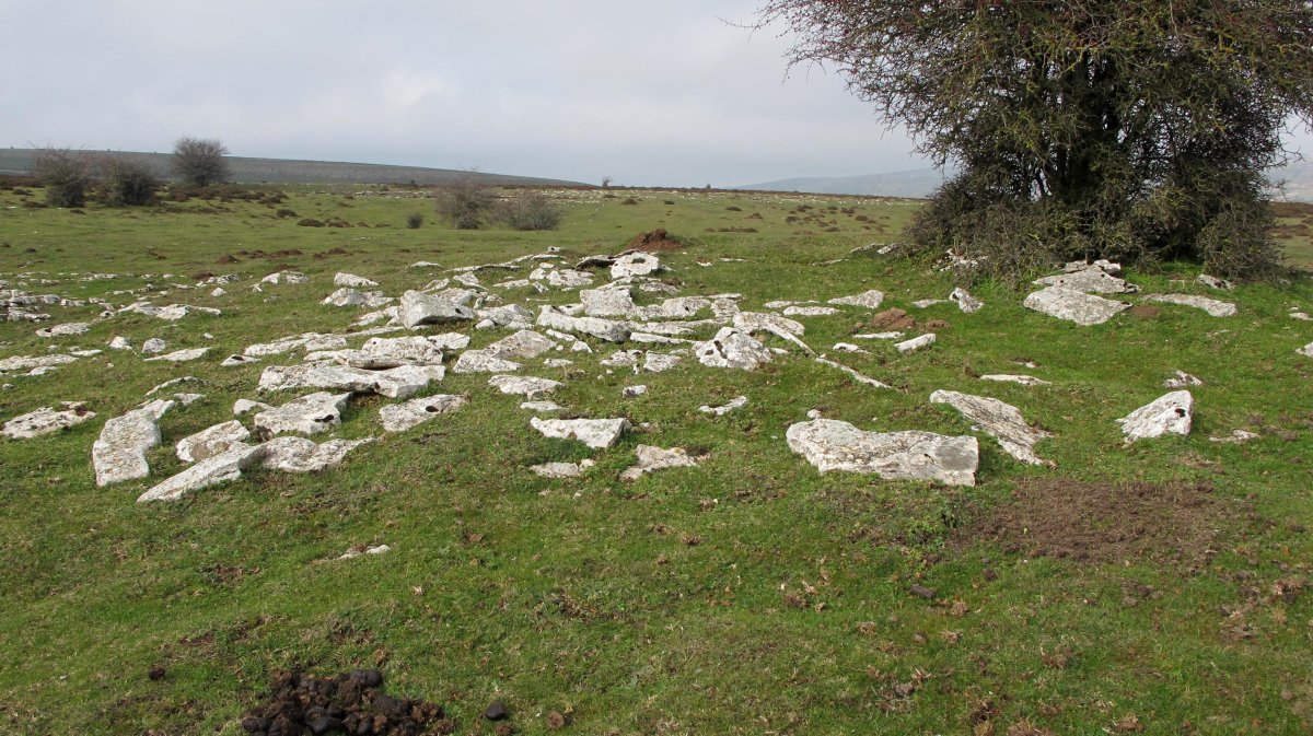 El Espino tumulua, Andia