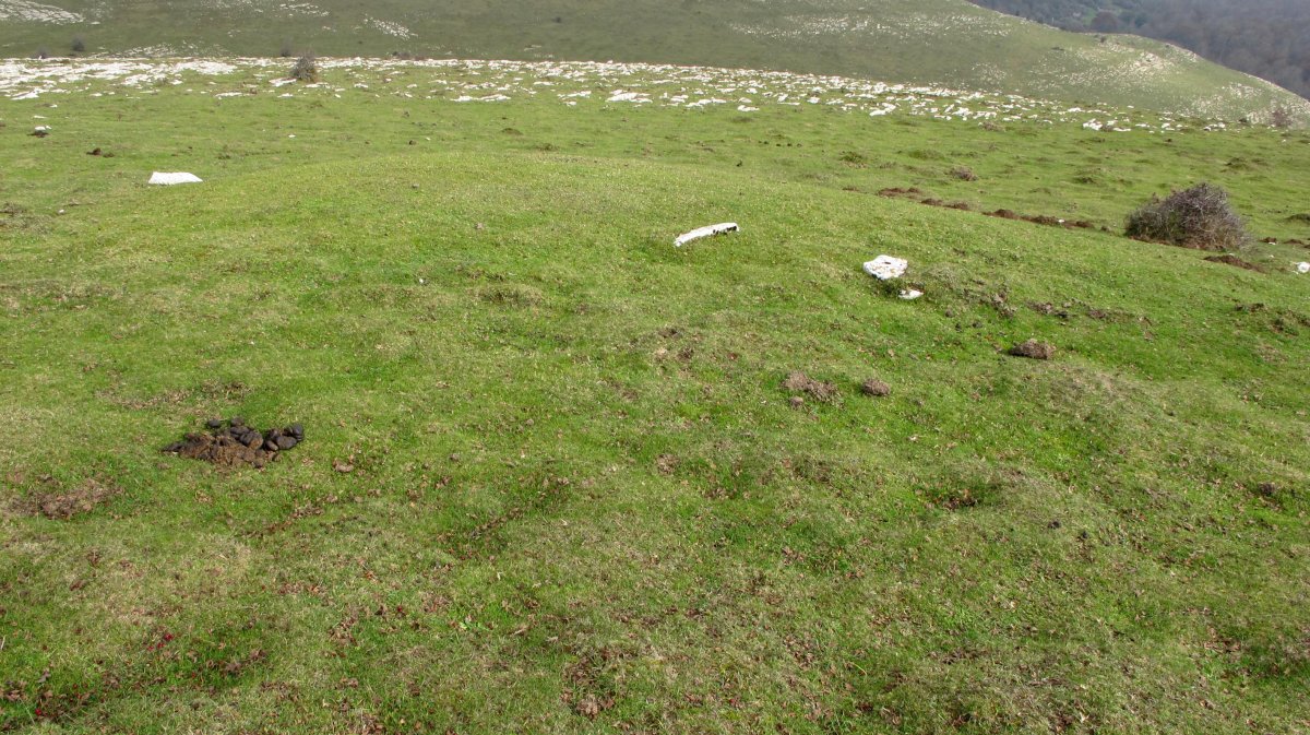 Izpia 4 tumulua, Andia