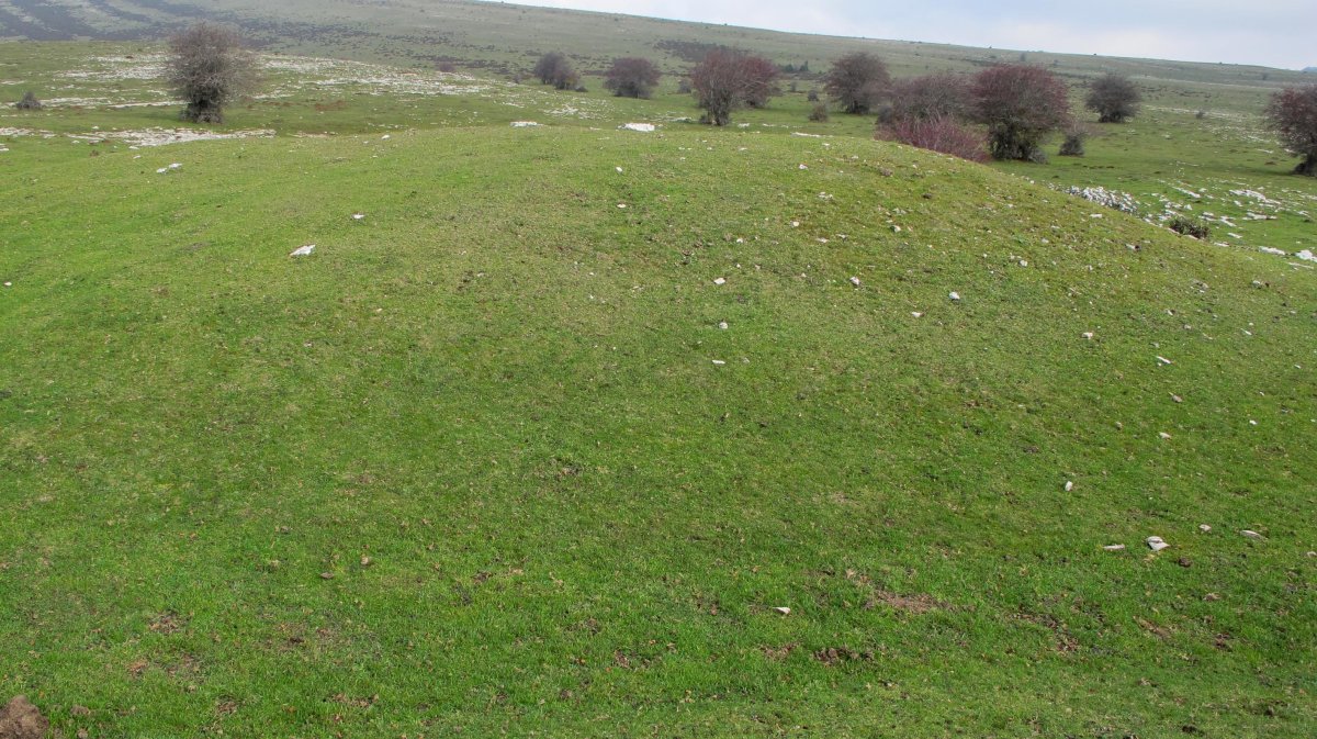 El Orinal 2 hego etxola hondoa, Andia