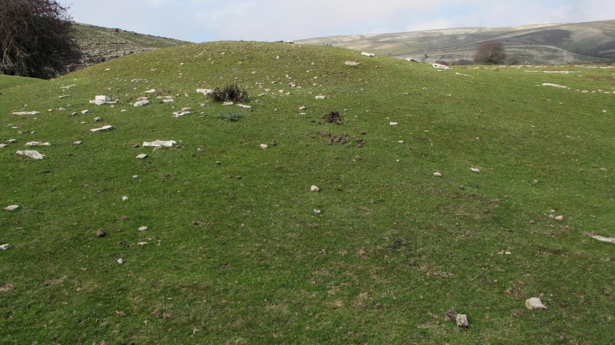 El Orinal 2 hego etxola hondoa, Andia