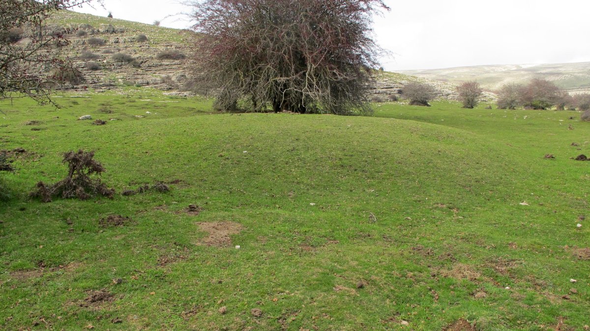 El Orinal 1 ipar etxola hondoa, Andia