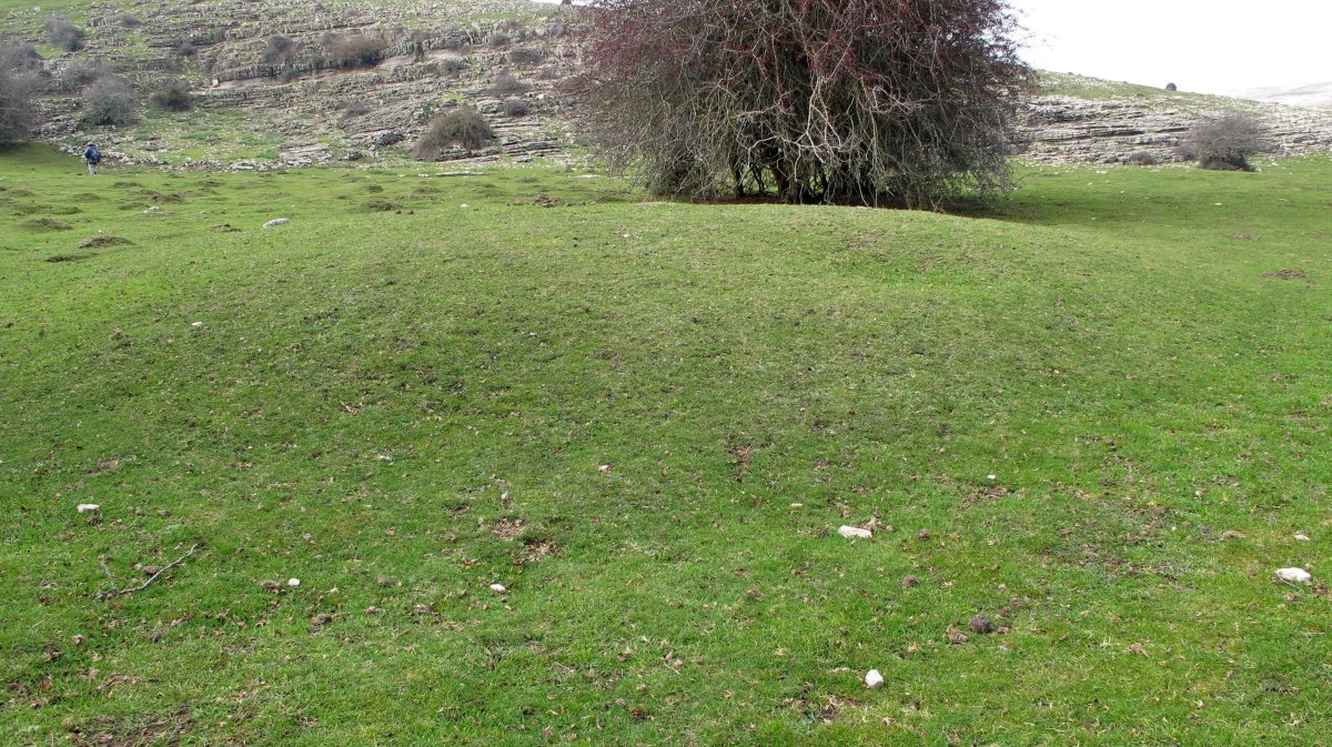 El Orinal 1 ipar etxola hondoa, Andia