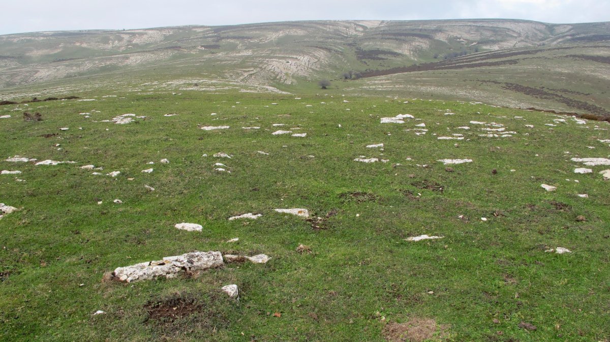 Illarrabeltz eraztun tumulua, Andia