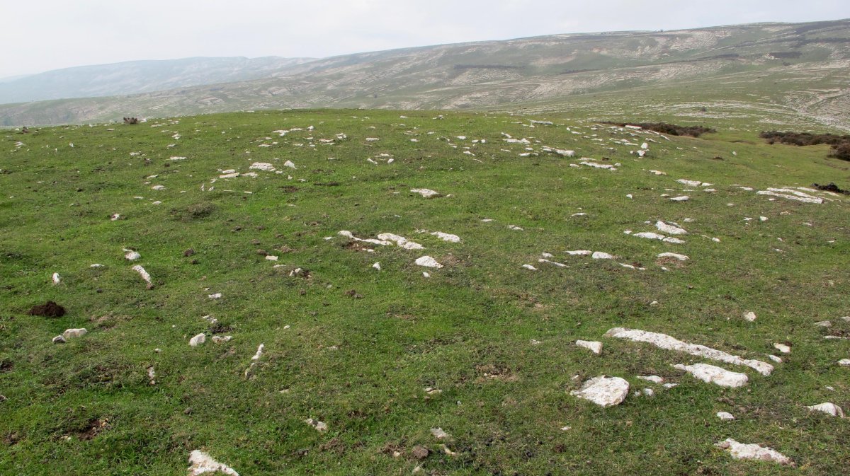 Illarrabeltz eraztun tumulua, Andia