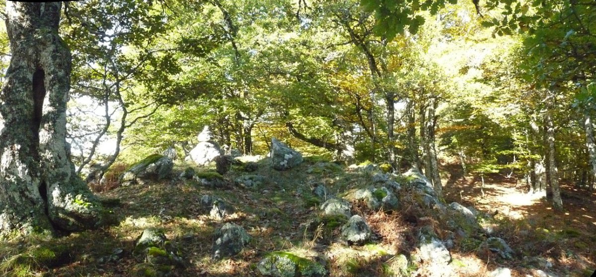 Otsolezea mendiko hegoaldeko gailurra