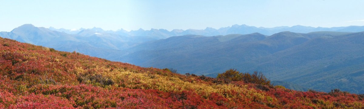 Pirinioak Ortzanzurietako hegitik
