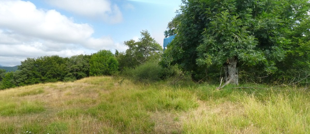 Aanoko gailurra (781)