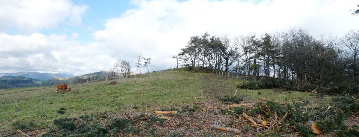 Ilaragorriko gailurra