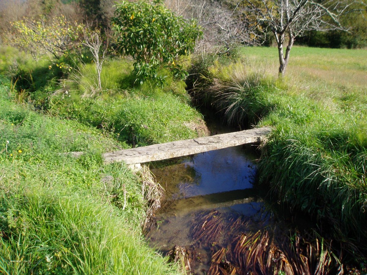 Kaltzadako harrizko zubia