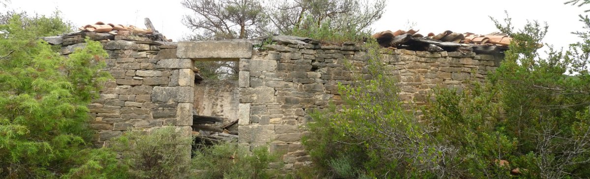 Baselizaren hondakinak