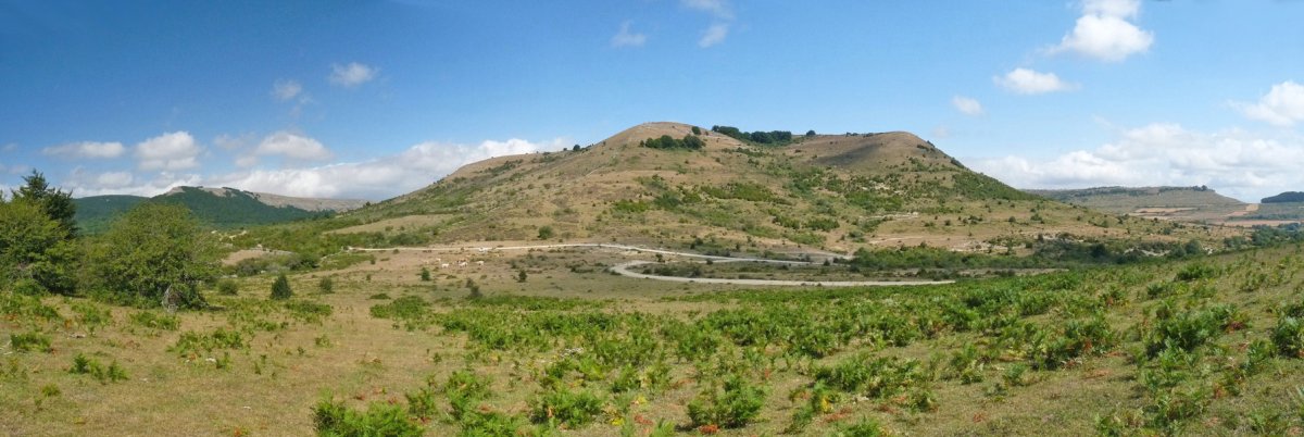 Zoiolagaina, hegoaldeko lepotik