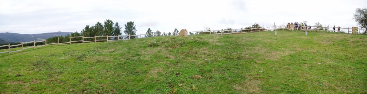 Katillotxu 1 trikuharria