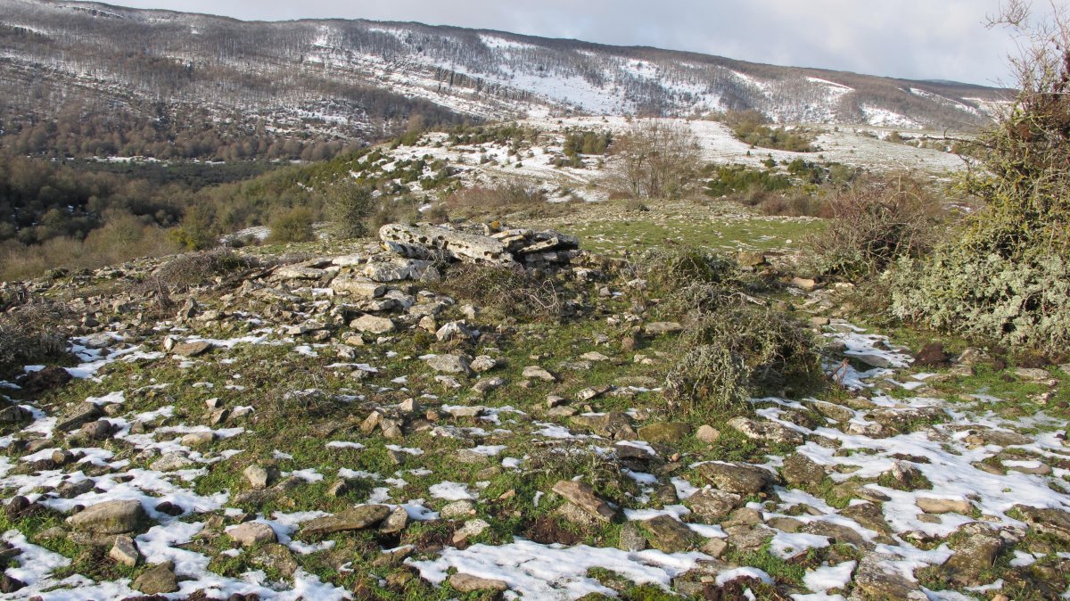 Usaleze 2 tumulua, Andia