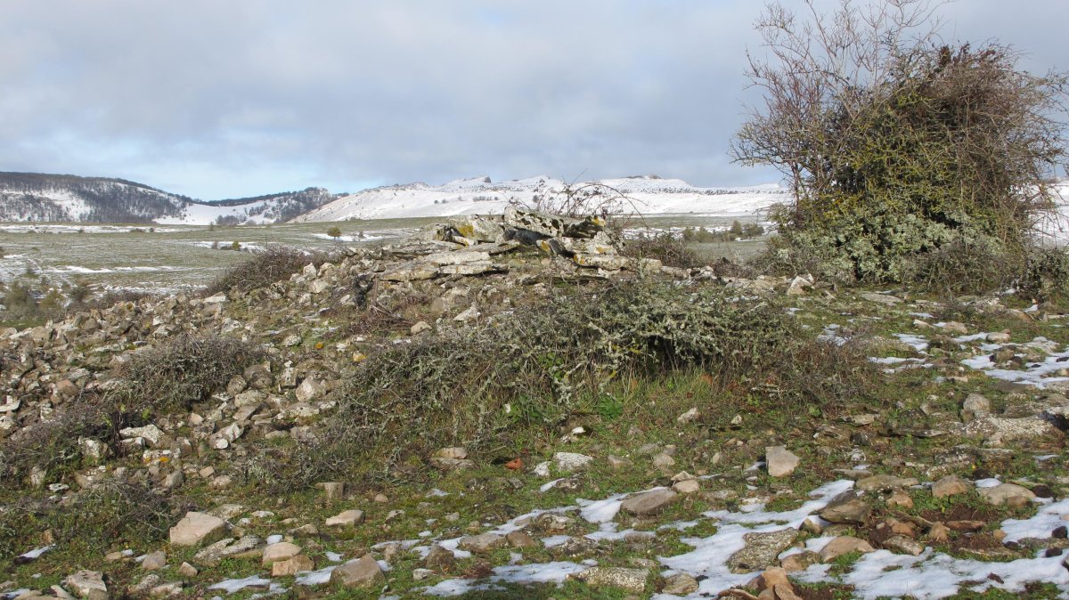 Usaleze 2 tumulua, Andia