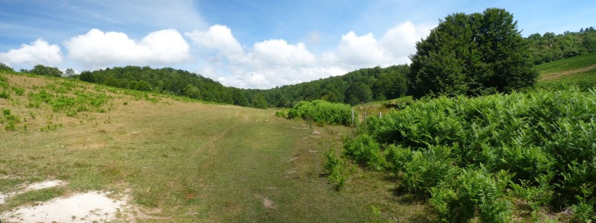 Iratzetako larreko lepoa, Larreburu eta Berregu artean