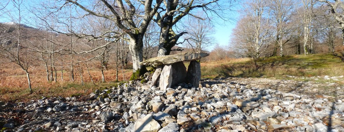 Azango Miaka trikuharri berreraikia