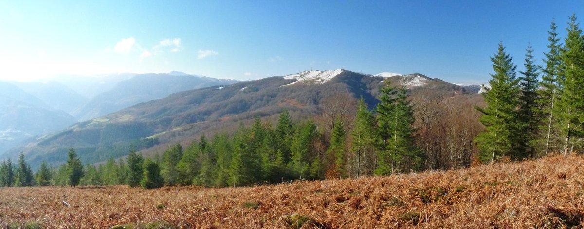 Malerrekako paisaiak Lexarburuko gailurretik