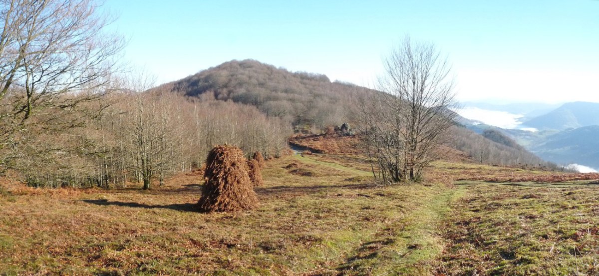 Lexarburu Azako Mehakatik