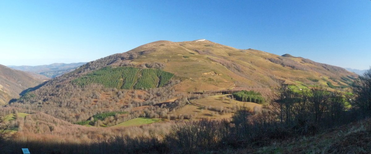 Irakurri, Kornietako bidetik