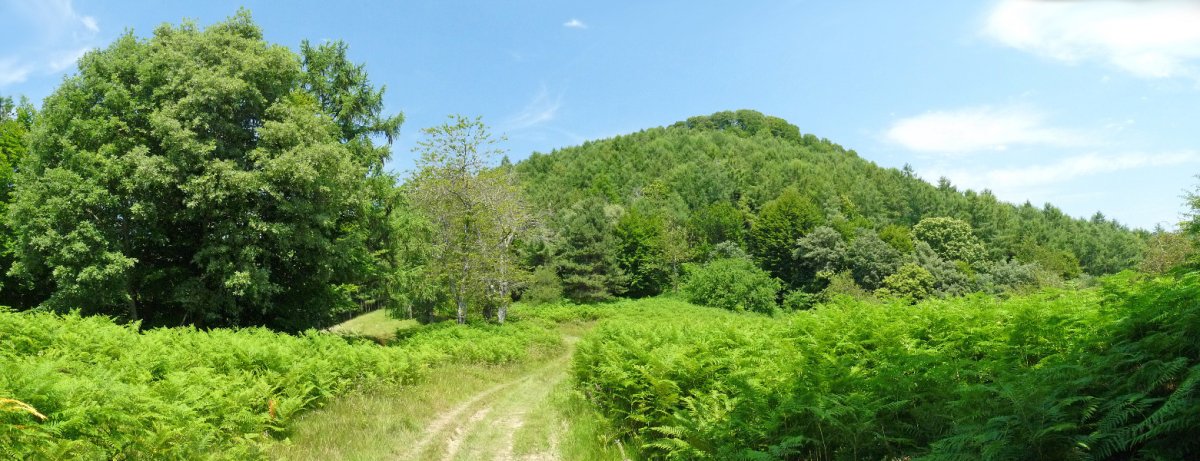 Arrizorrotz, bidetik