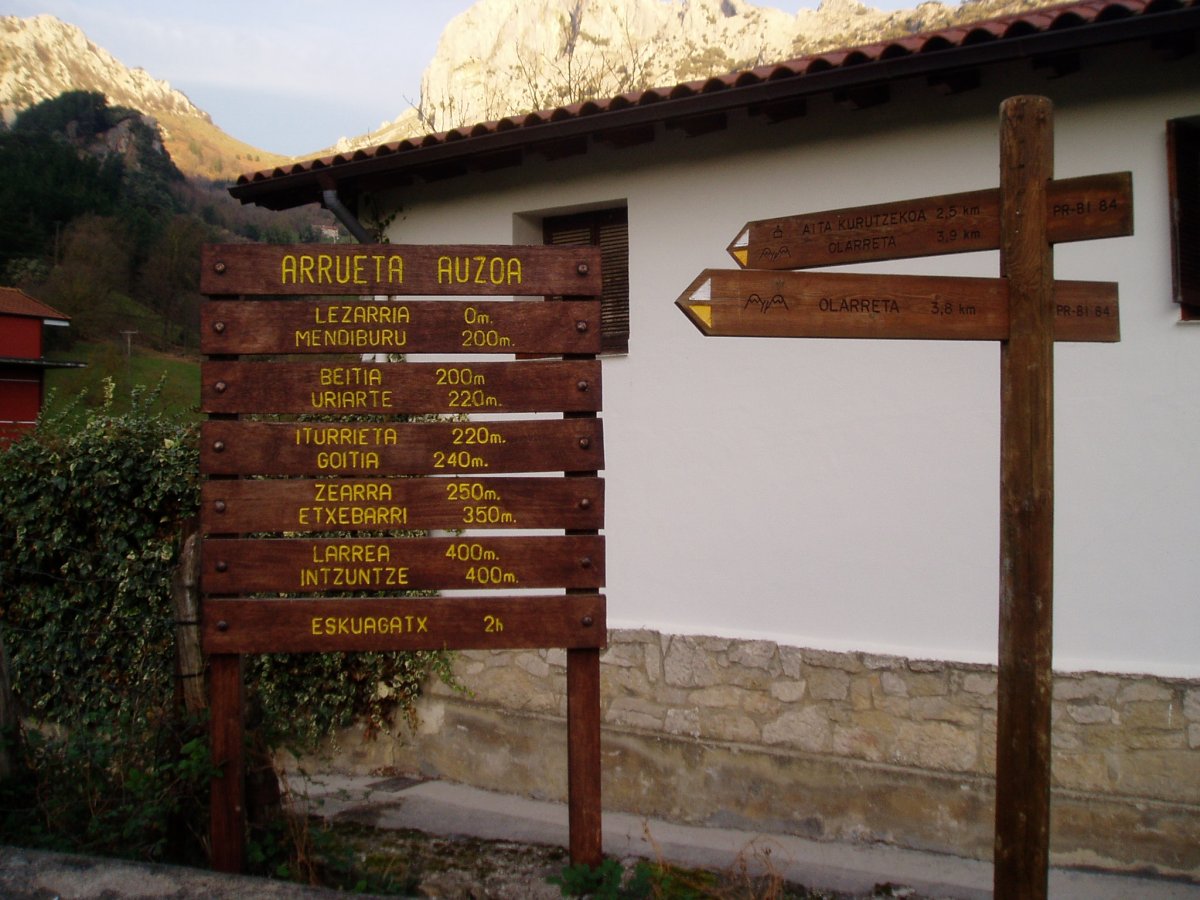 Abiapuntuko seinaleak