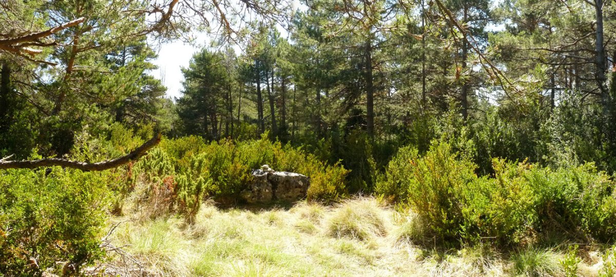 Siguesko Mugako gailurra