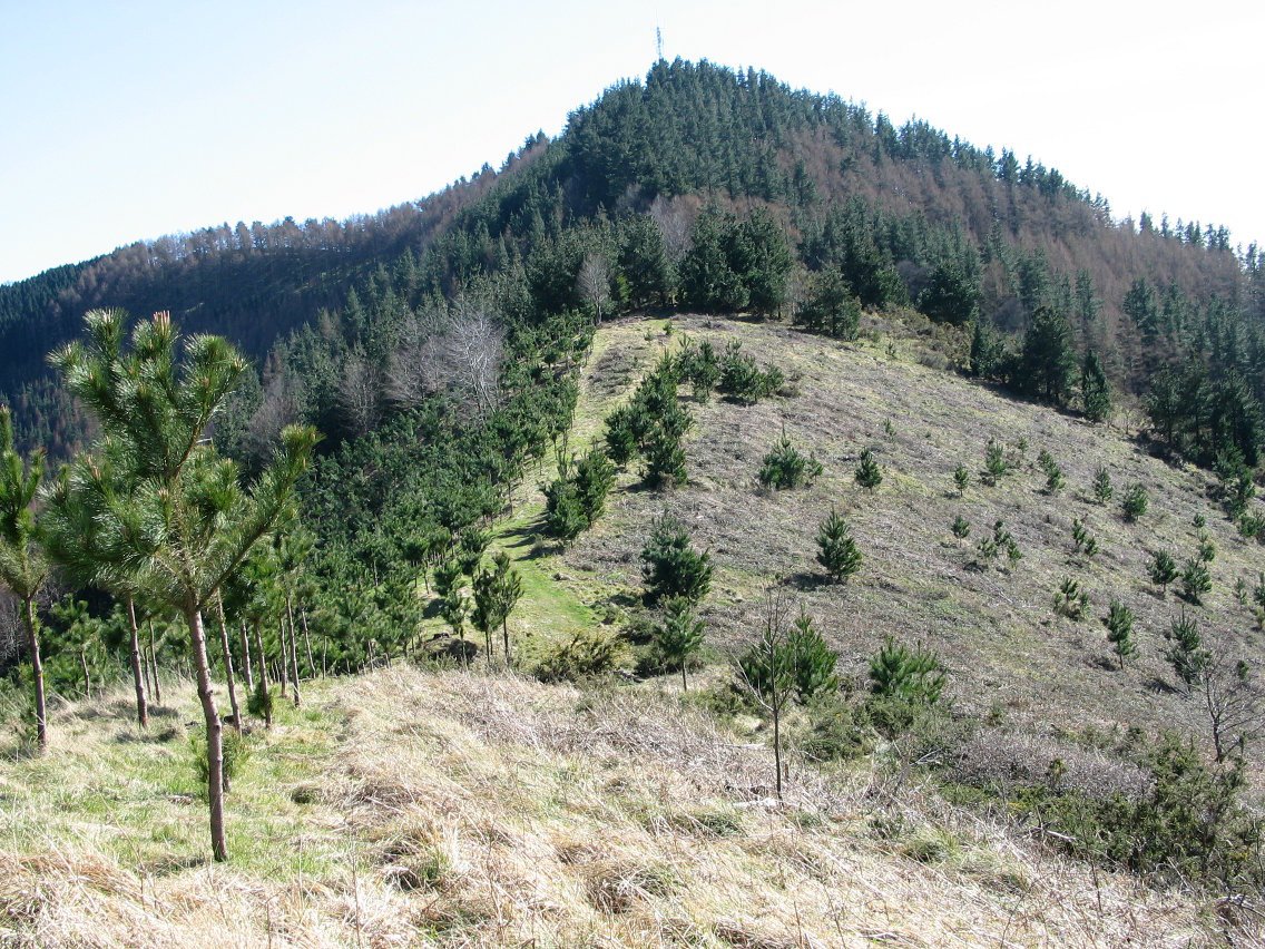 Eibar aldeko bizkarretik