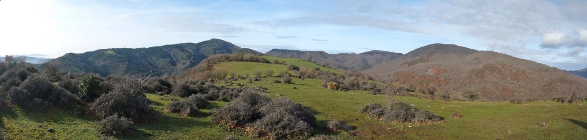 Ipeteko gainaldeko larreak