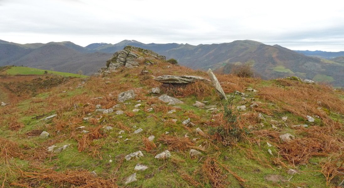 Urkitze 4 trikuharria