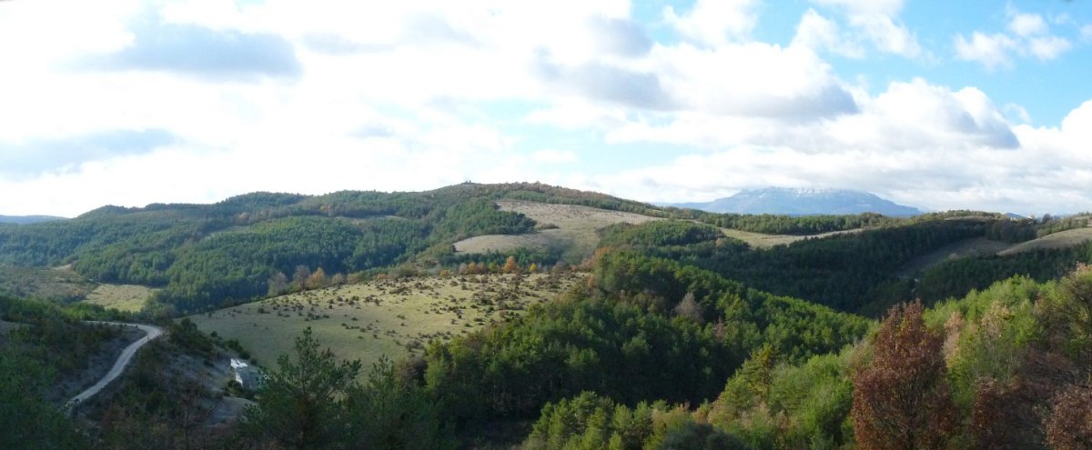 Salbatoriko gainak Narbaizatik