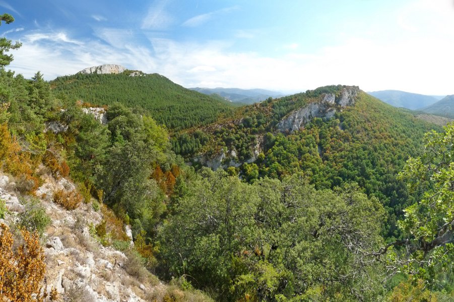 Aldu eta Santa Agatako gandorrak Arrigorriako gainaldetik