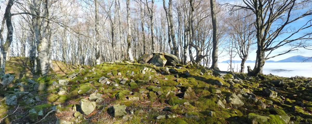 Baztanibar trikuharria