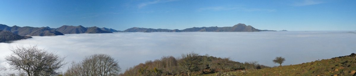 Laino itsasoa, Otolotik