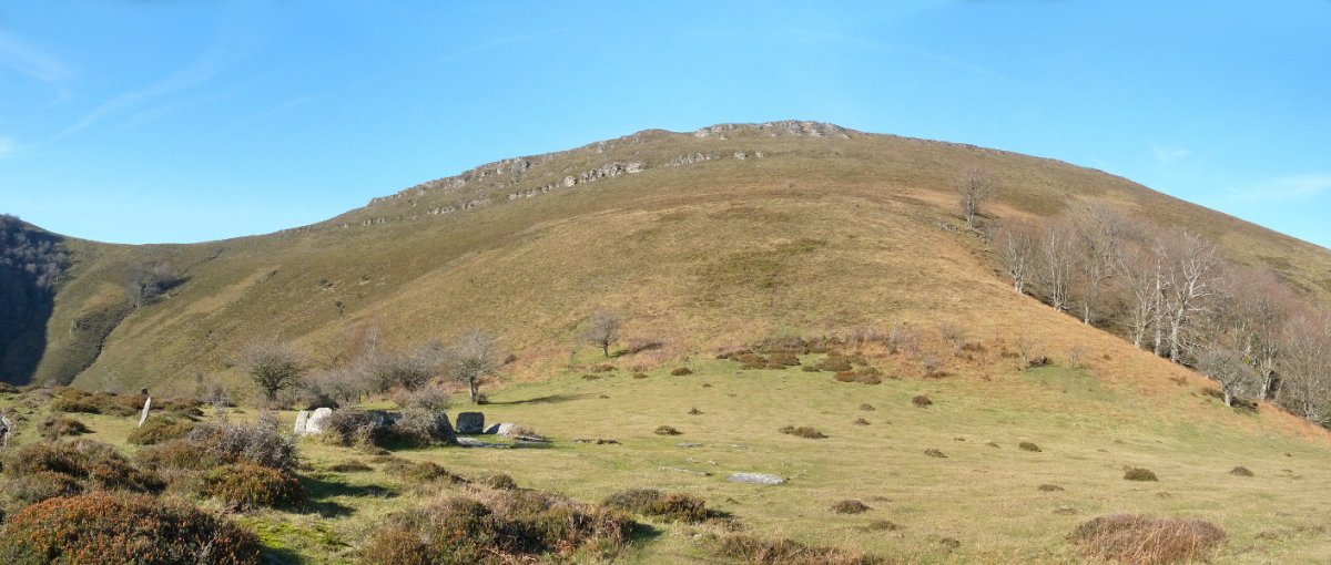 Pilotasoro, Buruzarko malkarren azpian