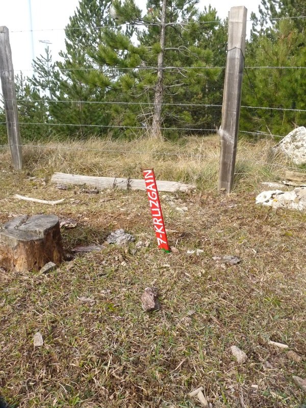 Kruzgaingo burdinaga