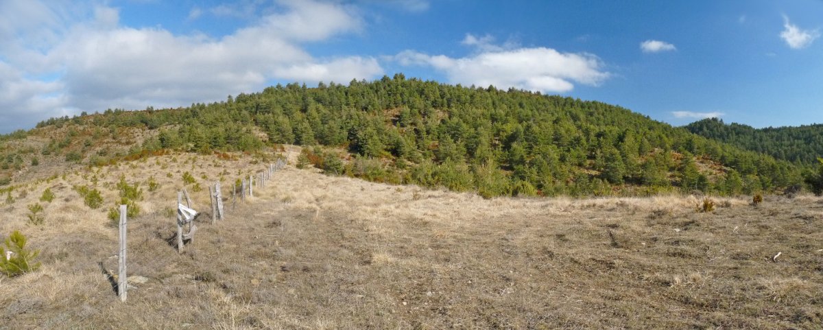 Landeta/Valdefuesa, hegoaldeko lepotik